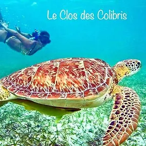 Colibris Vue Panoramique Et Montagne Pelée , 500 M Dans Un Parc , Calme Assuré Idéal Pour Découvrir Le Nord Caraïbes Hébergement de vacances